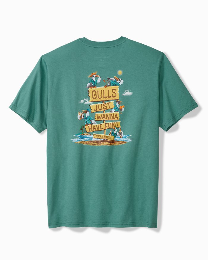 Big & Tall Gulls Just Want To Have Fun Graphic T-Shirt