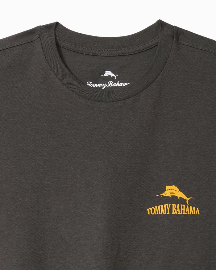 Big & Tall Golden Labation Graphic T-Shirt