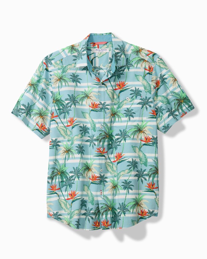 Nova Wave Palmero Stripe Shirt