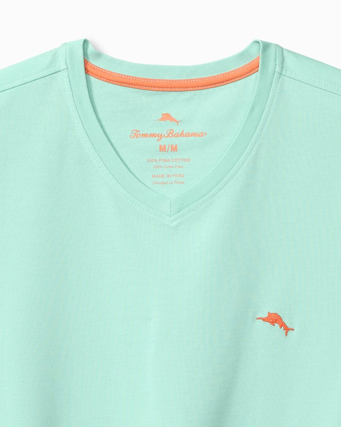 Big & Tall New Bali Skyline V-Neck T-Shirt