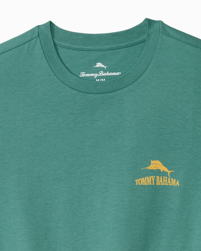 Big & Tall Gulls Just Want To Have Fun Graphic T-Shirt